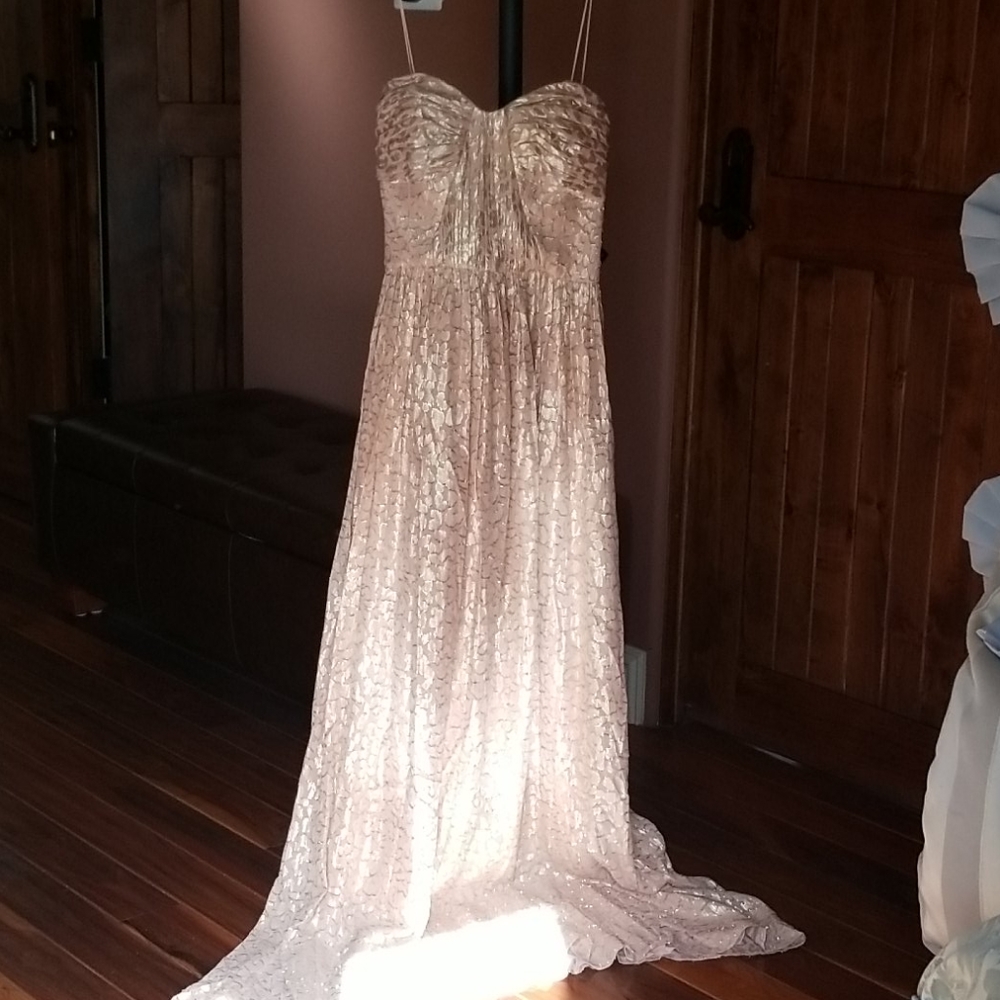 New Erin Fetherson Gown.
